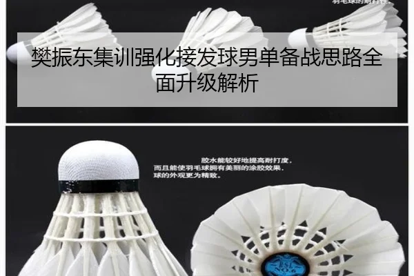 樊振东集训强化接发球男单备战思路全面升级解析